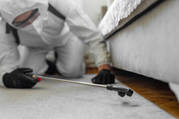 Professional Cockroach Control technician working in Fort Polk North, LA