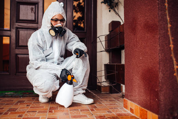 Reliable Cockroach Control contractor in Fort Polk North, LA by Nex Pest Control